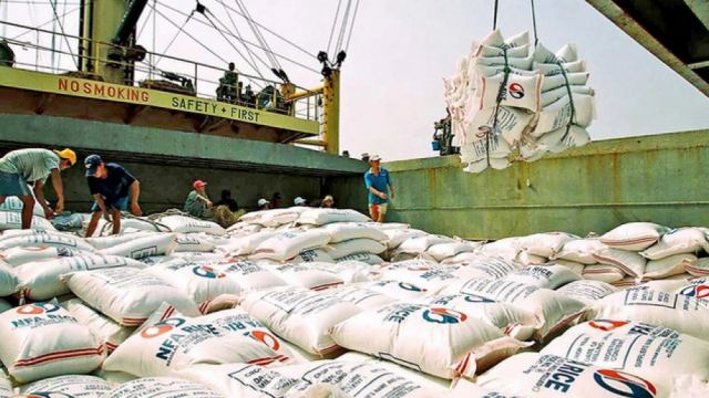 Giá gạo xuất khẩu tăng cao nhất 10 năm