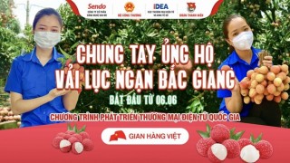 Các sàn thương mại điện tử chung tay đẩy mạnh tiêu thụ trực tuyến vải thiều Bắc Giang