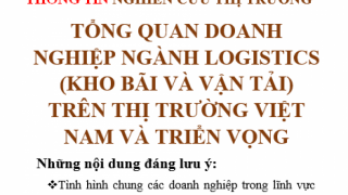 Thông tin tổng quan doanh nghiệp ngành logistics (kho bãi và vận tải) trên thị trường Việt Nam và triển vọng