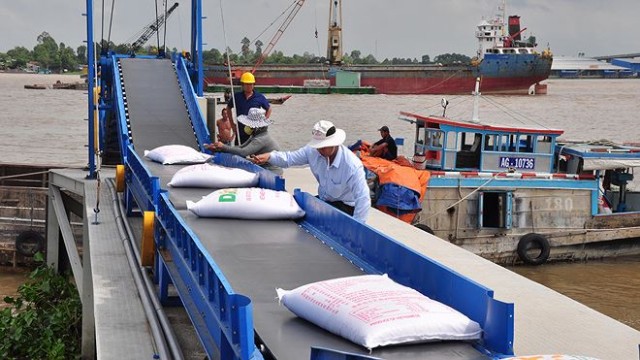 Xuất khẩu gạo giảm mạnh