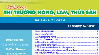  Trung tâm thông tin CN & TM ra mắt Bản tin Thị trường nông, lâm, thủy sản Số ra ngày 12/7/2019