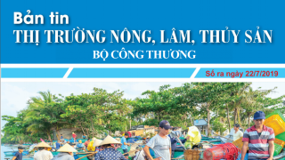 Trung tâm thông tin CN & TM giới thiệu Bản tin Thị trường nông, lâm, thủy sản Số ra ngày 22/7/2019