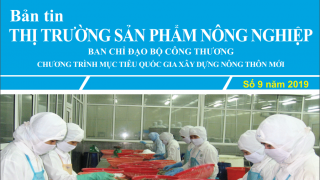 Trung tâm thông tin CN & TM ra mắt Bản tin Thị trường sản phẩm Nông nghiệp Số 9/2019