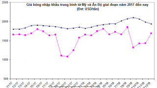 Báo cáo đánh giá hoạt động XNK mặt hàng dệt may tháng 1/2019