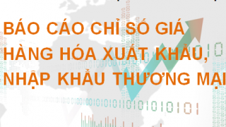 Báo cáo chỉ số giá hàng hóa xuất nhập khẩu thương mại