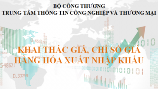 Tọa đàm trao đổi, phổ biến khai thác chỉ số giá hàng hóa xuất nhập khẩu