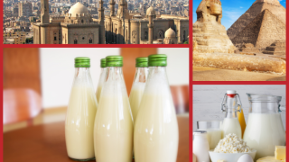 Ai Cập bỏ yêu cầu áp dụng chứng chỉ Halal đối với sữa và các sản phẩm từ sữa nhập khẩu vào Ai Cập