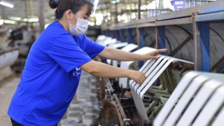 Việt Nam - Uzbekistan tăng cường hợp tác trong lĩnh vực dâu tằm tơ