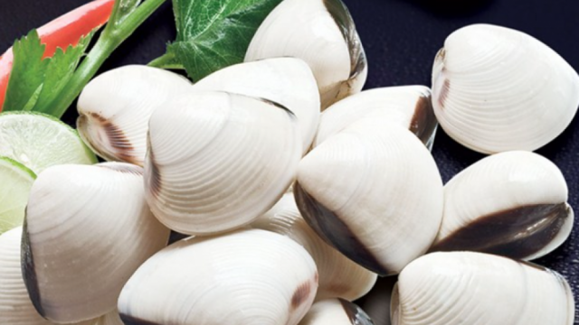 Nhiều tín hiệu tích cực từ xuất khẩu nhuyễn thể hai mảnh vỏ 