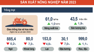 Tình hình kinh tế - xã hội quý IV và năm 2023