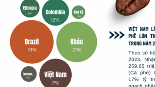 XUẤT KHẨU CÀ PHÊ SANG NHẬT BẢN 2 THÁNG ĐẦU NĂM 2024 TĂNG MẠNH