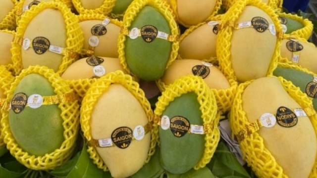 Lô xoài keo đầu tiên của Việt Nam được xuất khẩu sang Hàn Quốc