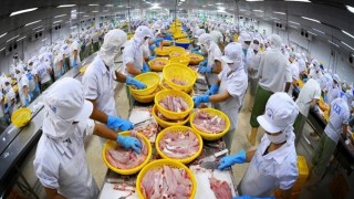 Nhật Bản muốn hợp tác gia công xuất khẩu thuỷ sản với Việt Nam