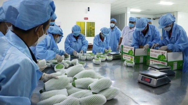 Tăng cường các hoạt động phát triển thị trường khu vực Đông Bắc Á