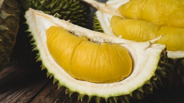 Sầu riêng Phú Yên có cơ hội xuất khẩu sang thị trường Trung Quốc