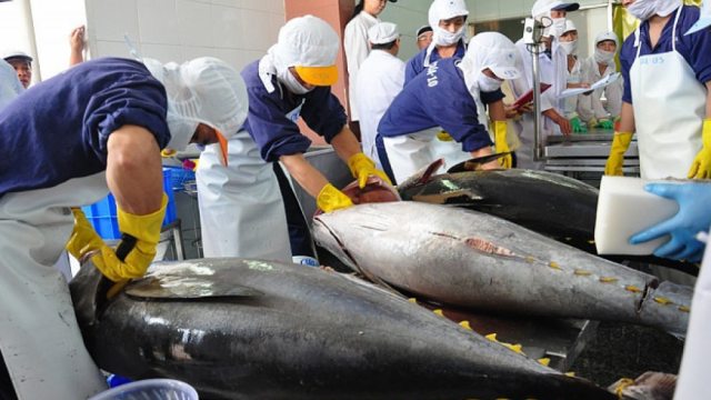 Việt Nam và Chile còn nhiều tiềm năng hợp tác trong lĩnh vực nông nghiệp