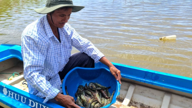 Tôm Cà Mau rộng đường xuất khẩu nhờ đạt chứng nhận BAP