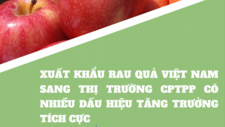 Xuất khẩu rau quả của Việt Nam sang khối thị trường CPTPP có nhiều dấu hiệu tăng trưởng tích cực