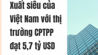 Xuất siêu của Việt Nam đến thị trường CPTPP đạt 5,7 tỷ USD