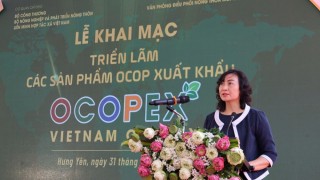 Cơ hội xuất khẩu các sản phẩm OCOP Việt Nam 