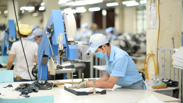 Quy định mới của EU ảnh hưởng tới xuất khẩu của Việt Nam 