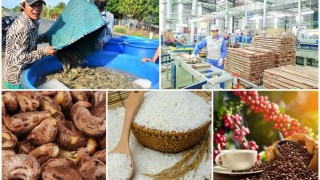 Cơ hội xuất khẩu hàng nông sản Việt thông qua Hiệp định RCEP