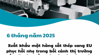 6 tháng năm 2025: Xuất khẩu mặt hàng sắt thép sang EU phục hồi nhẹ trong bối cảnh thị trường đối mặt với nhiều khó khăn và thách thức