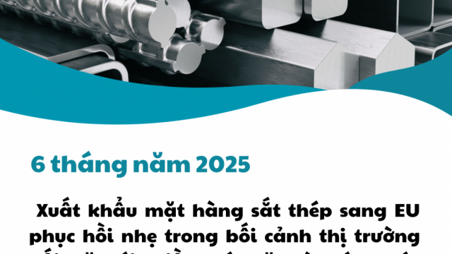 6 tháng năm 2025: Xuất khẩu mặt hàng sắt thép sang EU phục hồi nhẹ trong bối cảnh thị trường đối mặt với nhiều khó khăn và thách thức