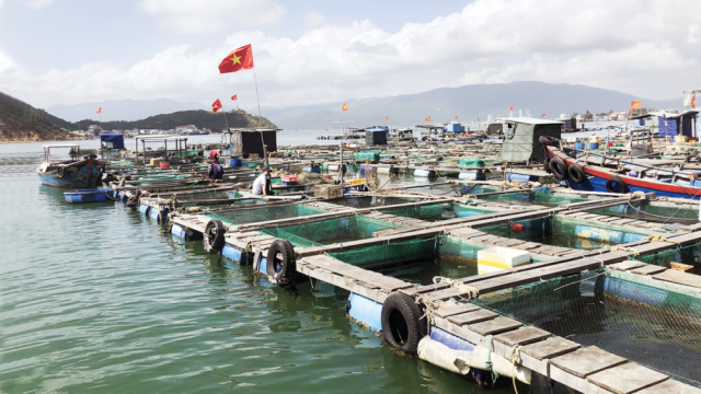 Tổng hợp, phân tích, đánh giá tình hình thực thi Hiệp định UKVFTA trong hoạt động xuất, nhập khẩu hàng Thủy sản của Việt Nam với thị trường Anh trong 8 tháng đầu năm 2025