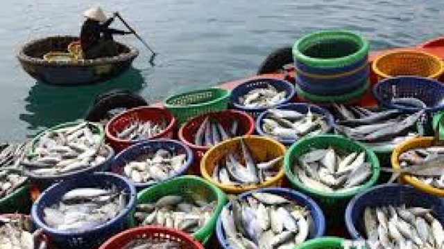 Tổng hợp, phân tích, đánh giá tình hình thực thi Hiệp định UKVFTA trong hoạt động xuất, nhập khẩu hàng Thủy sản của Việt Nam với thị trường Anh trong 6 tháng đầu năm 2025