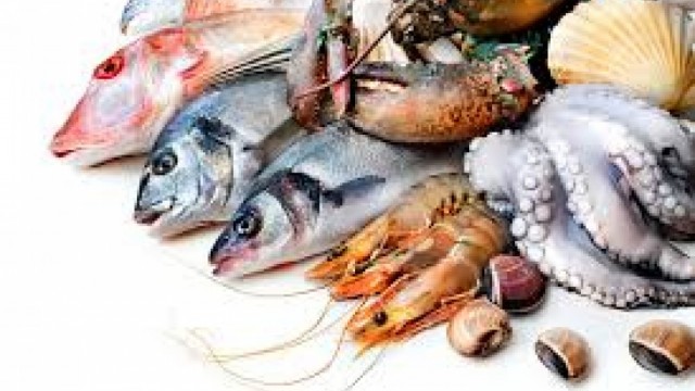 XUẤT KHẨU THỦY SẢN TRONG NĂM 2025 GHI NHẬN XU HƯỚNG  HỒI PHỤC RÕ NÉT