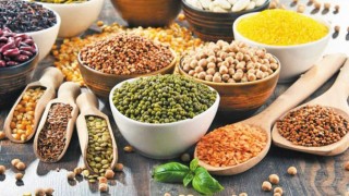 Chính thức khai trương cơ sở dữ liệu về doanh nghiệp nhập khẩu nông sản thực phẩm và đồ uống của EU