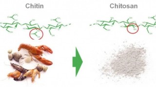 EU phê duyệt sử dụng hoạt chất Chitosan trong bảo quản sau thu hoạch