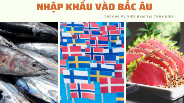 Quy định với cá ngừ nhập khẩu vào Bắc Âu