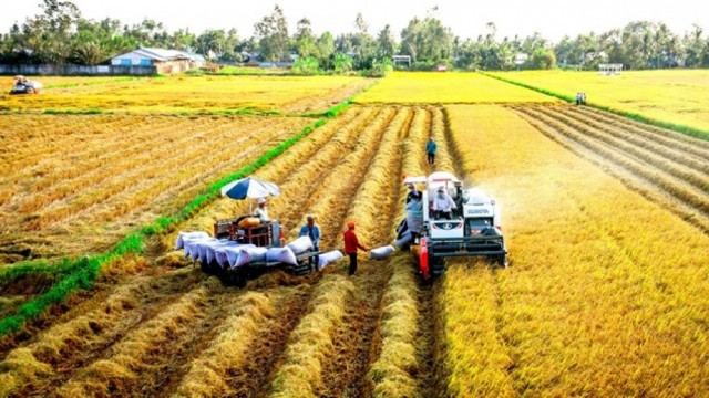 Chỉ thị về tăng cường công tác thông tin thị trường, xúc tiến thương mại, phát triển thị trường xuất khẩu gạo và bình ổn thị trường trong nước trong giai đoạn hiện nay