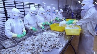 GDP quý 1 tăng 4,48% trong bối cảnh dịch COVID-19 phức tạp