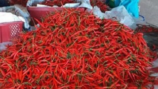 Thông tin về việc Trung Quốc cấm nhập khẩu ớt từ Việt Nam là không chính xác