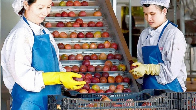 Hợp tác thương mại Việt Nam - Canada: Nhiều dư địa phát triển