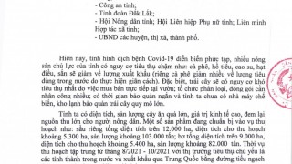 Triển khai các phương án, giải pháp hỗ trợ tiêu thụ nông sản trên địa bàn tỉnh Đắk Lắk trong điều kiện dịch Covid-19