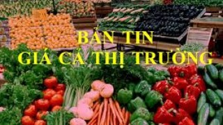 Bản tin giá cả thị trường kỳ 27 năm 2021 trên địa bàn tỉnh Đồng Tháp