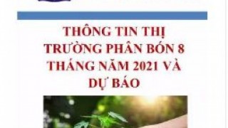 Thông tin thị trường phân bón 8 tháng năm 2021 và dự báo