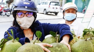 Khánh Hòa gỡ khó cho tiêu thụ nông sản