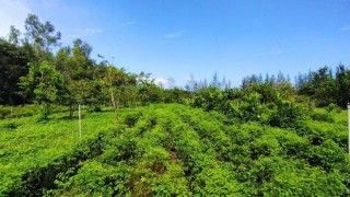 Hỗ trợ kết nối tiêu thụ sản phẩm nông sản, thủy hải sản các tỉnh, thành phố trong nước