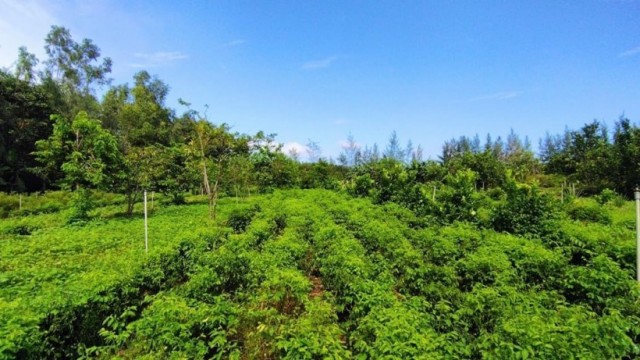 Hỗ trợ kết nối tiêu thụ sản phẩm nông sản, thủy hải sản các tỉnh, thành phố trong nước