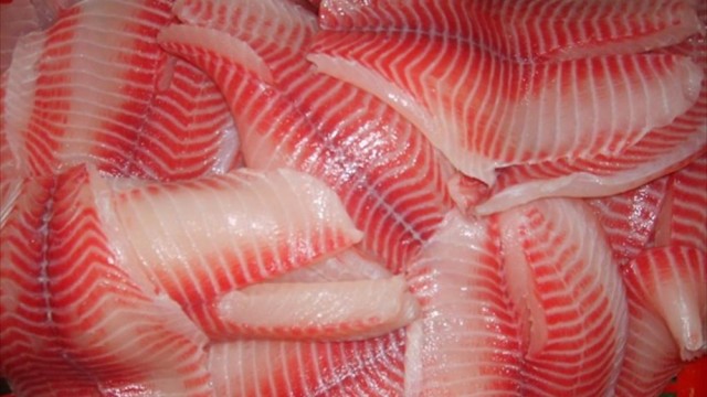 Xuất khẩu cá rô phi sang CPTPP tăng khá nhưng quy mô còn nhỏ