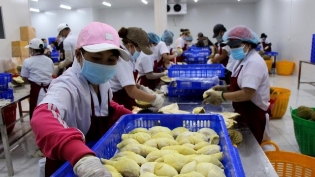 Khả thi mục tiêu xuất khẩu rau quả đạt 10 tỷ USD