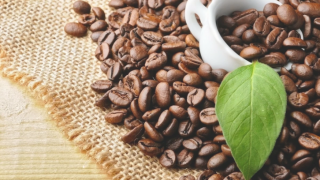 Ngày 21/10: Giá cà phê tiếp đà tăng, hồ tiêu neo ở mức cao 