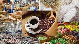 Hải quan Singapore siết yêu cầu khai báo giá trị hàng thủy sản, rau củ, trái cây