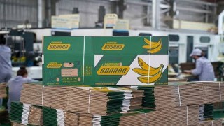 Italia siết quy định về môi trường và bao bì thực phẩm, doanh nghiệp Việt cần lưu ý