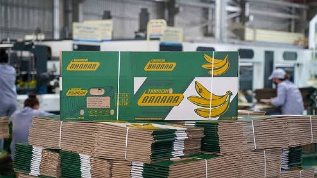 Italia siết quy định về môi trường và bao bì thực phẩm, doanh nghiệp Việt cần lưu ý